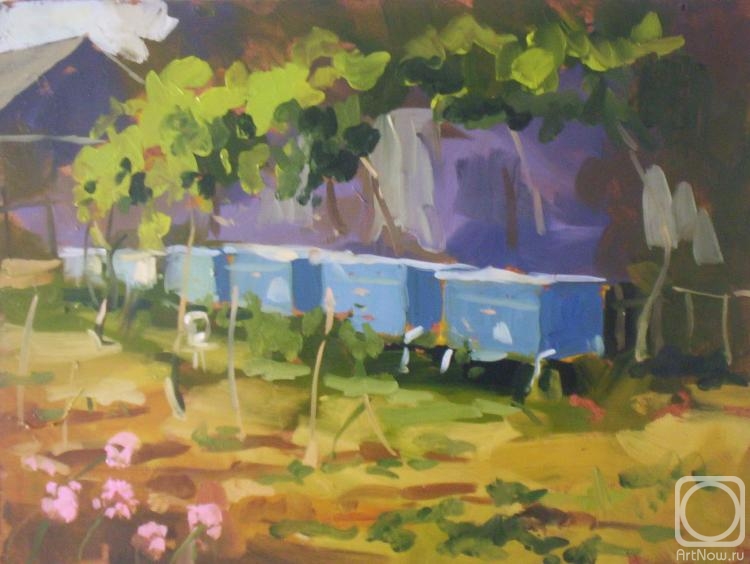 �������. ������� �����. ��������� �����