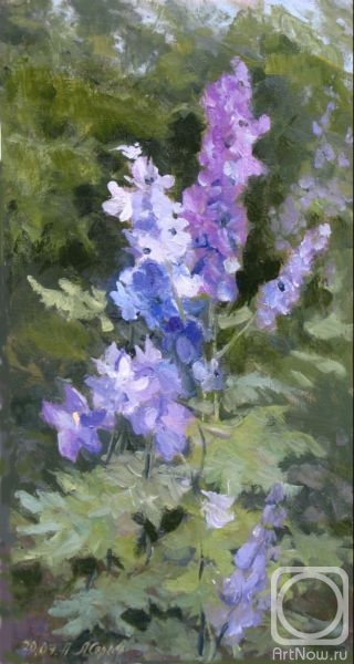 �������. �������������� ������. ������� �����������