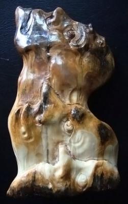 ����������������