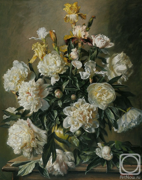 �������. �������� ����. ����� ����� � �����