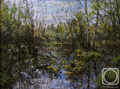 ������� ������ �� ������. �������� ����. �������� �������