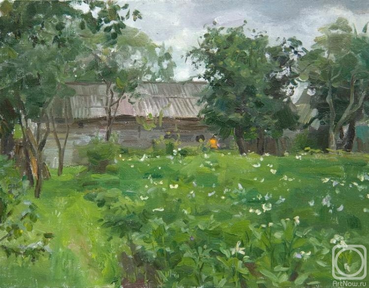 Kharchenko Victoria. The potato in blossom
