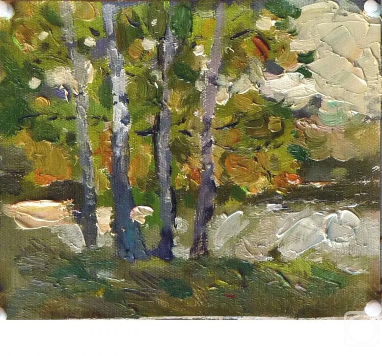 Arepyev Vladimir. Autumn Day (etude)