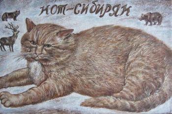 Siberian cat. Rakutov Sergey