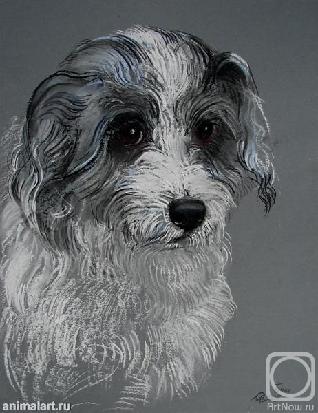 �������. �������� ������. ���