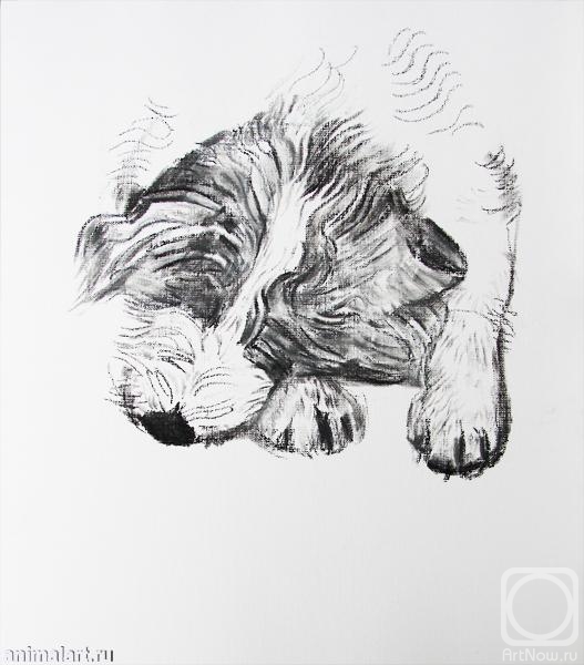 �������. �������� ������. ��� ����