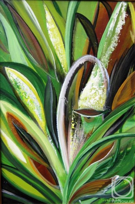 ������� ������ �� ������. ������ ��������. �����