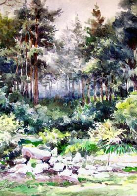 ������� ����, 96�