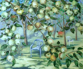 Summer. Apple trees