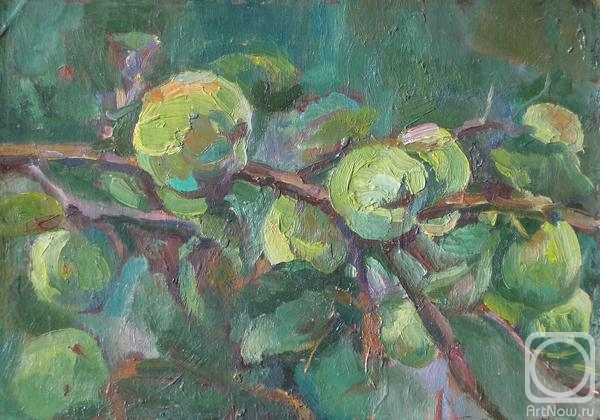 �������. �������� �����. ������.����