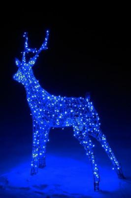 Deer glowing