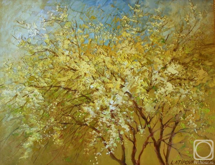 ������� ������ �� ������. �������� ������. ���� �� ���������� ���� �����