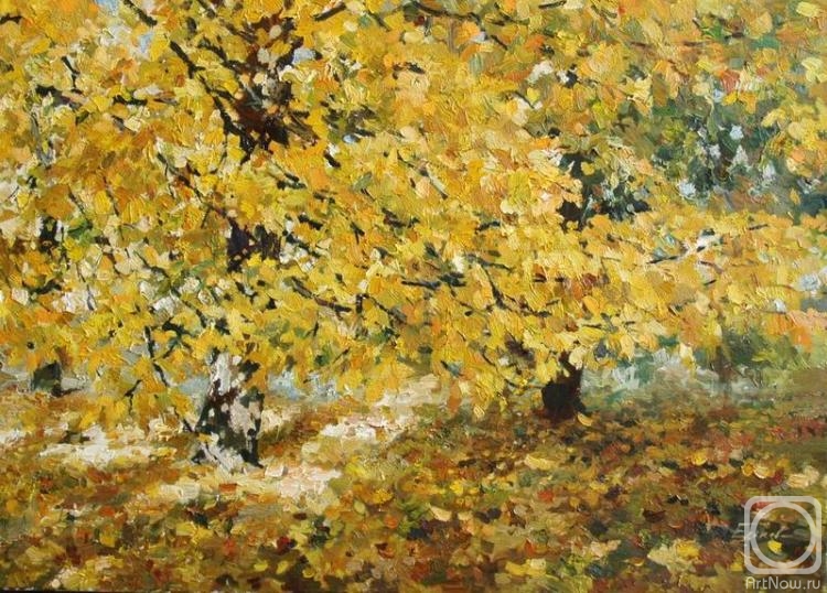 ������� ������ �� ������. ������ �����. ��������