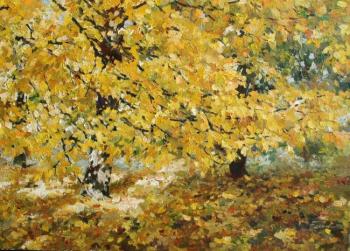 ������� ���������