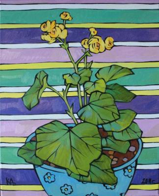 ������� ���������� ���������