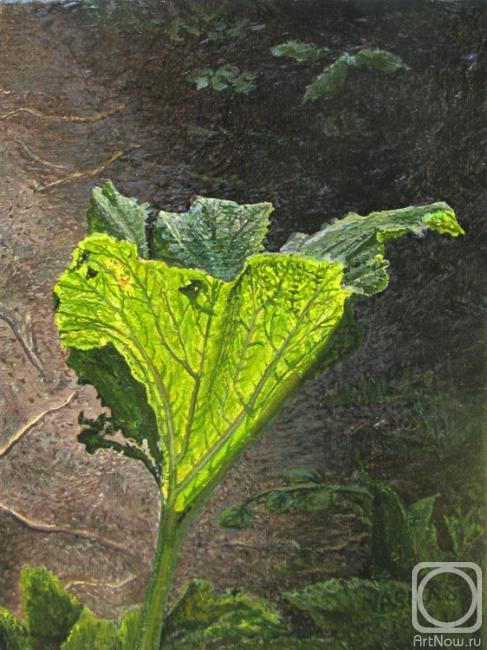 Poltavsky Aleksandr. Dacha. The leaf of zucchini. 09/15/2011