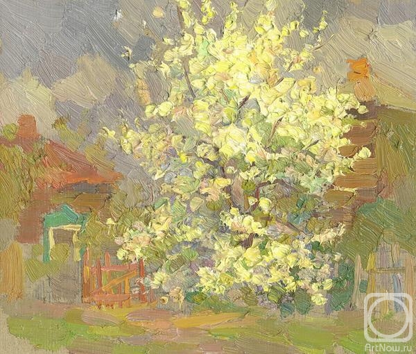 �������. �������� �����. ����� �����