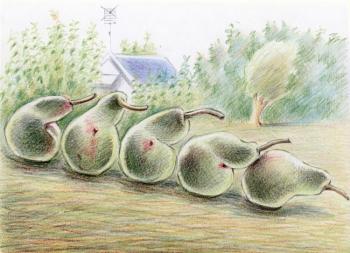 ������� ��������� "������". ��������� ������