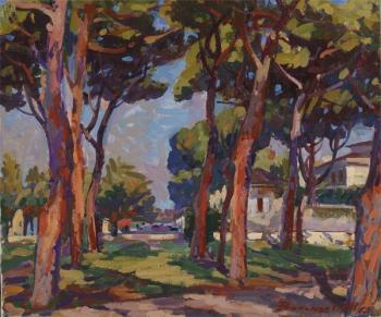 Terracina.Orange stone pines. Valentsov Vladimir