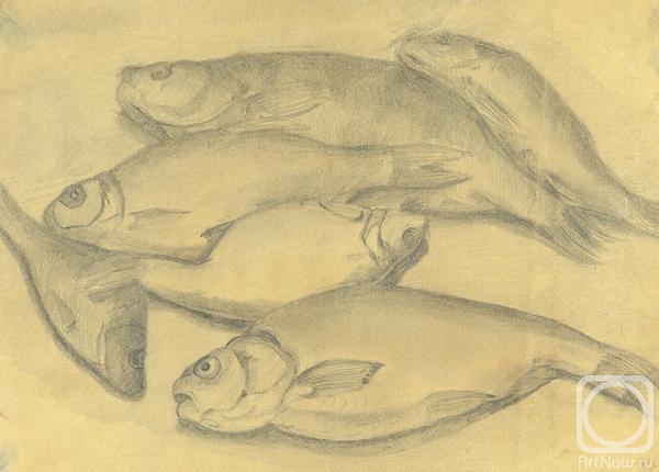 �������. �������� �����. ����