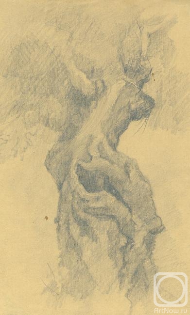 �������. �������� �����. ������ ������