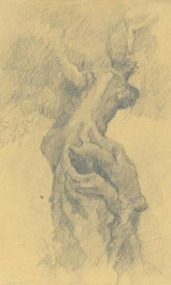 ������� ������� ������