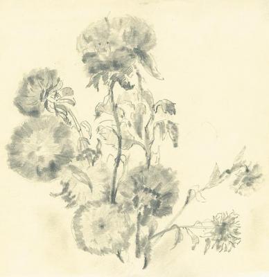 ������� �������