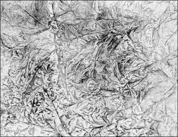 ������� ������������