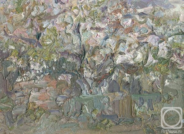 �������. �������� �����. �����