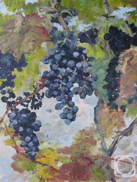 ������� ������ �� ������. ������ �����. ����� ������