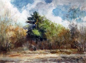 ������� �������