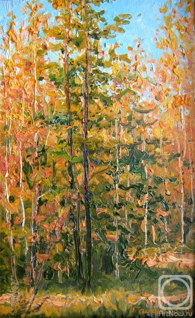Gaiderov Michail. Autumn... (etude)