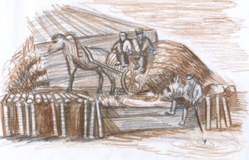 ����������� ����. �������� �������