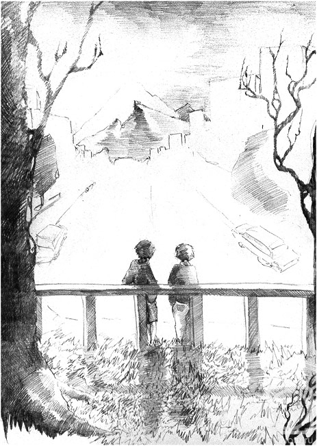 �������. ������� �����. ������ �� ���������