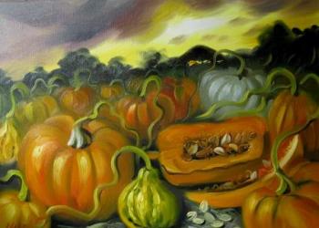 Garden pumpkins. Schubert Albina