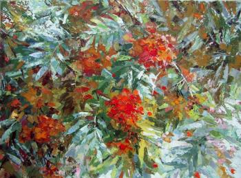 ������� ��������