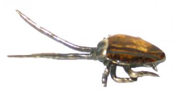 Cockroach natural (Tiger 39 S Eye). Ermakov Yurij