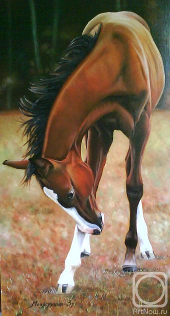 ������� ������ �� ������. ��� �������. ������ �����