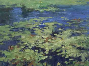 Water lilies. Vikov Andrej