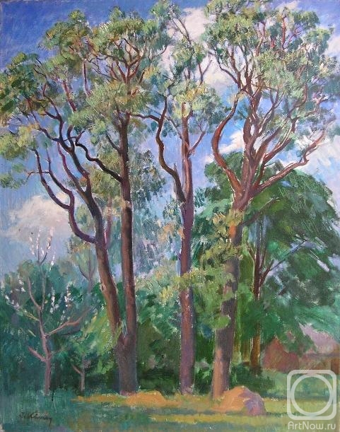 ������� ������ �� ������. ���� ������. �������