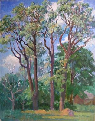 ������� ���������