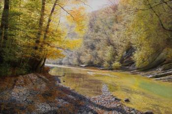 The river in autumn forest. Krasov Mikhail