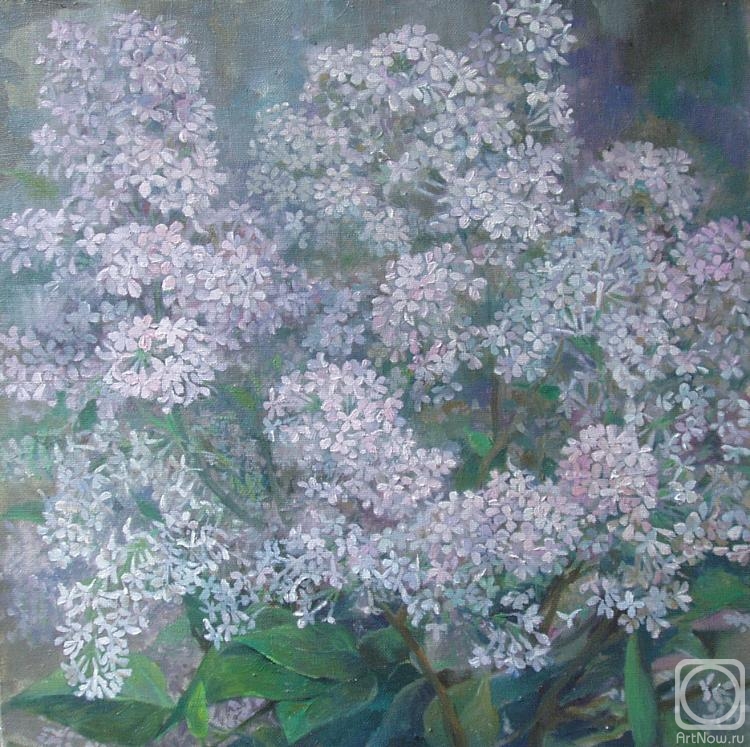 Krylova Ludmila. Lilac