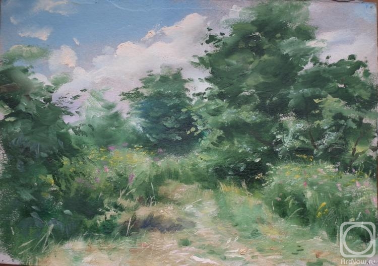 Arhipov Ilia. summer landscape