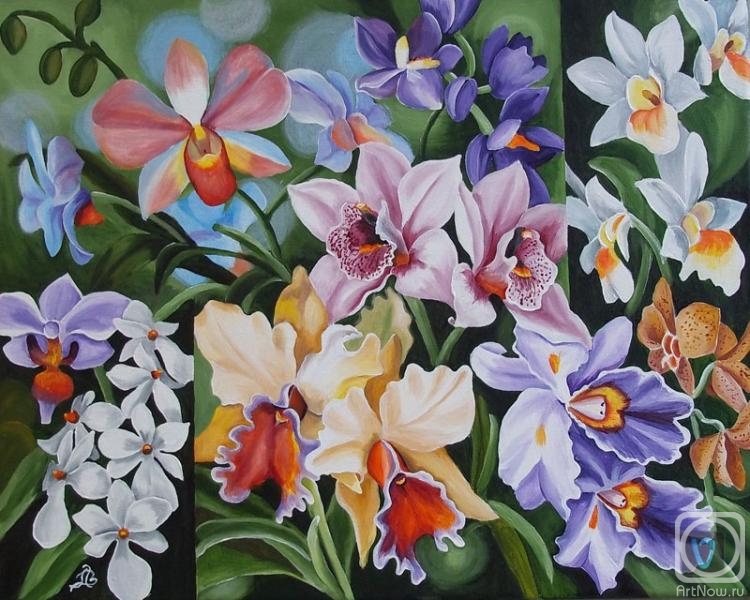 Lambeva Valentina. Mix-orchid