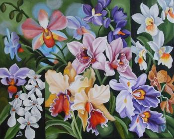 Mix-orchid. Lambeva Valentina