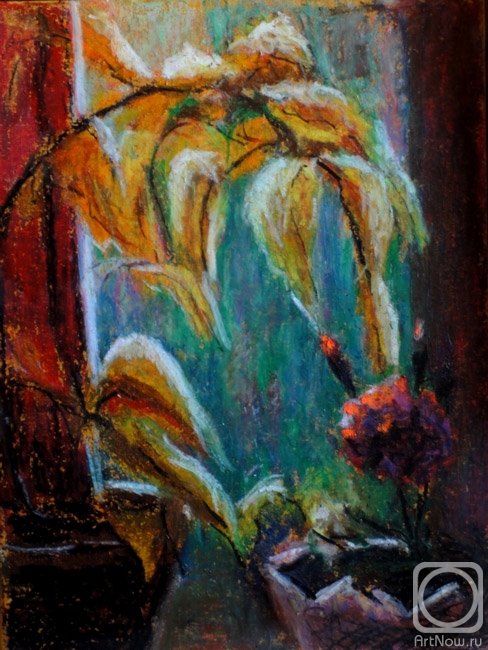 �������. ���������� �����. ����� � ����