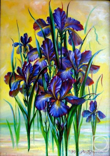 ������� ������ �� ������. ��������-������������ ����. �����