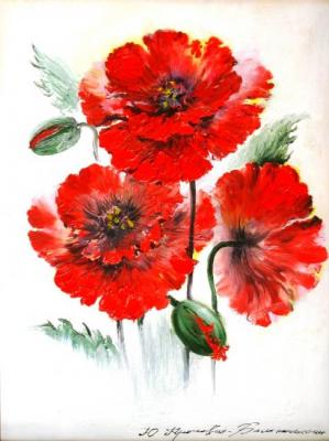 Poppies