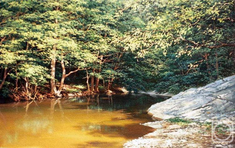 Oleynik Arkadiy. The River Pshada 5